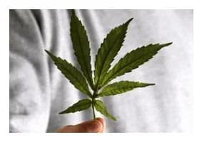 Drug/Alcohol Charges